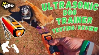 Ultrasonic Dog Bark Deterrent/Trainer - Testing/Review