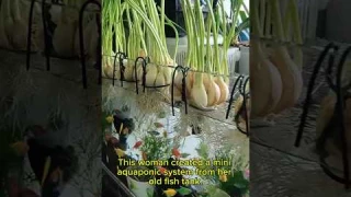 Grow Garlic and Raise Fish in One Tank | Easy Aquaponics Idea