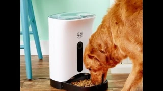 Arf Pets Automatic Dog & Cat Feeder, White, 16-cup  #pets#cats#dogs#supplies#petsupplies#shorts#