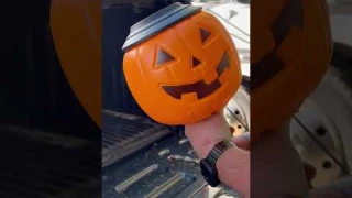 DIY solar light pumpkins 🎃 #diy #project #halloween #pumpkin #shorts