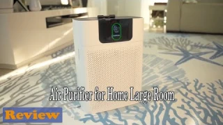 WESTHEY Air Purifier Review - Fresh Air for A Happy Home.