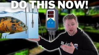Your Aquarium is a Ticking Time Bomb