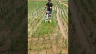 Weeder for both paddy field and dry land