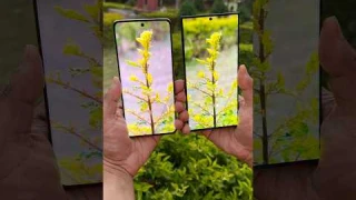 Realme 12 Pro Plus vs Samsung S23 ultra Portrait Testing #shorts #realme #samsung