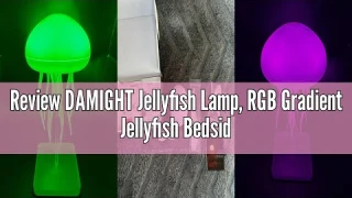 Review DAMIGHT Jellyfish Lamp, RGB Gradient Jellyfish Bedside Lamp, LED Floating Jellyfish Lamp Voic