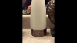 ZEEFO Retro LED Night Light Wireless PIR Motion Sensor Light Review