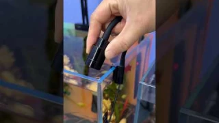 Aquarium light setup ||  #shorts #aquarium #shortsfeed #fish #subscribe