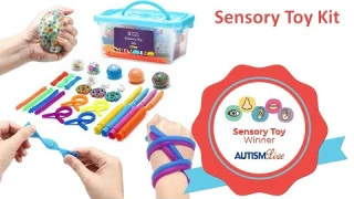 Best Sensory Toy Winner Review - School-Aged: Fidget Toy Pack by Special Supplies