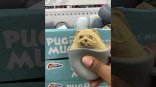Pug in a mug fidget #shorts
