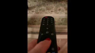 TroubleShooting Your LG TV Magic Remote