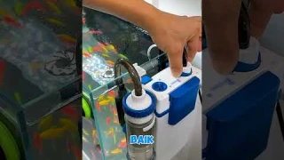 Teknologi filter aquarium canister #short #tutorial #filter #aquarium