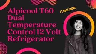 Alpicool T60 Dual Temperature Control 12 Volt Refrigerator Review | Best Portable Car Fridge Freezer