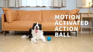 Ultimate Dog Toy 2025: ALL FOR PAWS Interactive LED Ball Review 🐶 | Motion-Activated Fun!