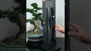 Fast Facial Recognition Smart Door Lock with Camera Tuya Wifi Mechanism Key Apartment Home Lock