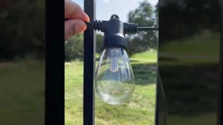 Best Outdoor Solar String Lights for Your Backyard #shorts