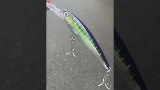 Do you fish Rapala lures? #jandhtackle #fishing #fishinglures #trolling