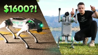 An Affordable Robot Dog?! | Unitree Go2 Air Review