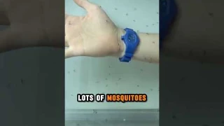 He tried an anti mosquito Wristbands
