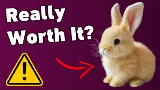 Easylife Bunny Review - Realistic Robot Bunby Scam EXPOSED!