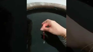 BS-805 Intelligent alarm bite hook color electronic drift luminous drift microgravity induction