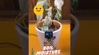 Arduino Soil Moisture Sensor with OLED | KitKraft Smart Plant Monitoring 🌱💧