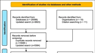 Systematic Literature Review Tip| What is the PRISMA flowchart