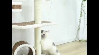 Pet Cat Toy Electronic Yo- yo Lifting Ball