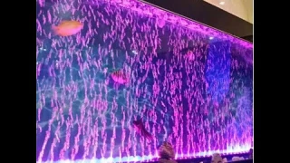 LED Air Bubble Light Aquarium Lamp Underwater Submersible Fish Tank Light Color Changing