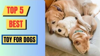 Top 5 Best Toy For Dogs Of 2024 || Snuffle Mat