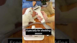 Pet Grooming Kit with Vacuum Suction & 5 Professional Tools: Pet Owner Must Have Gadget