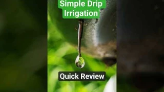 4 Simple Drip Irrigation Systems for Home Garden (Quick Review)