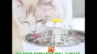 Qualeety - Automatic Pet Water Fountain