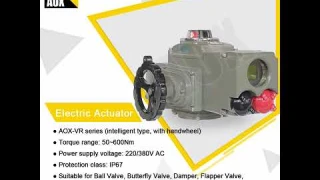 AOX丨Electric Actuator
