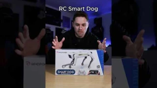 FOUR LEGGED RC ROBOT DOG #robot #unboxing #rc #shortd