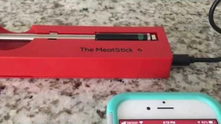 The MeatStick Review - True Wireless Temp Probe
