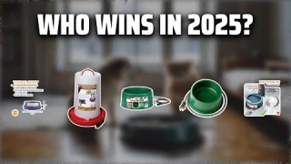 The Top 5 Best Heated Pet Bowl in 2025 - Must Watch Before Buying!