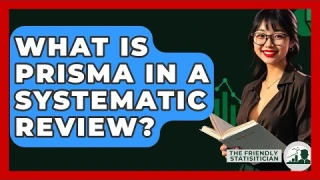 What Is PRISMA In A Systematic Review? - The Friendly Statistician
