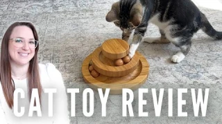🐾This Cat Ball Track Keeps Your Cat Entertained - The Ultimate Interactive Toy!🐱