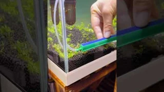 Ⓜ️Product Link in Comments!Ⓜ️ Ultra-Thin Aquarium Oxygen Bubble Strips
