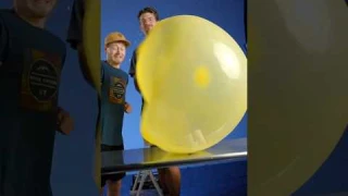 These Stress Toys Are POPPIN'