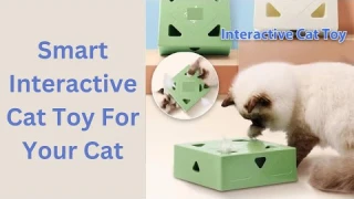 Electric Smart Cat Toy Review In 2025 | Migipaws Cat Toys | Smart Interactive Cat Toy