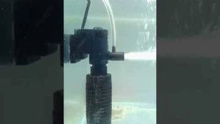 Internal Sobo Power Filter For Aquarium 😍😍#shots #viral #shortsfeed #fish #avixkaquatic #filter