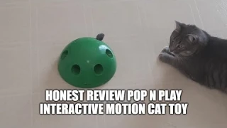 Honest Review Pop N Play Interactive Motion Cat Toy, Electronic Smart Random Moving Feather & Mouse.