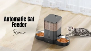 The Ultimate Guide to the HoneyGuaridan Automatic Cat Feeder | Review