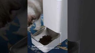 Effortless Feeding | Xiaomi Smart Pet Food Feeder