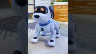 Remote control robot dog toy #robottoydog #toy #gift