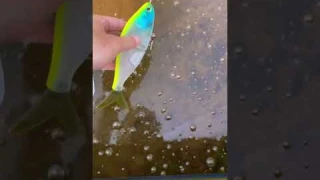 This ELECTRONIC Swimbait Is INSANE