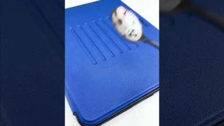 Episode today : Smart iPad case auto sleep and week up #seymac #ipadcase #ipad #apple #unboxing