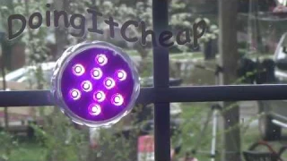 PawPaw Reviews the Remote Controlled Color Changing Waterproof LED Light by Idealife