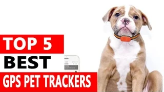 Top 5 Best Gps Pet Trackers of 2024